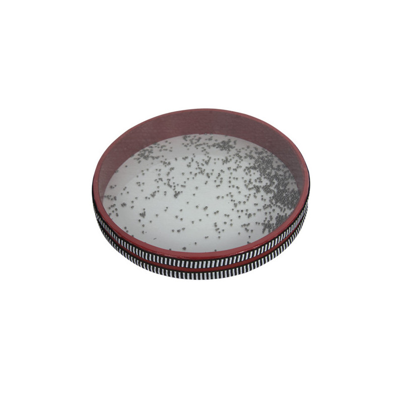 Ocean drum infantil