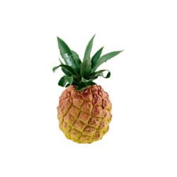 Shaker fruta Piña NINO0595
